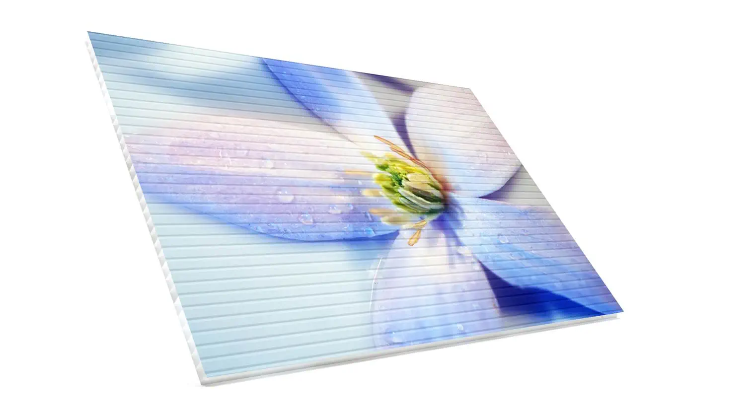 Hohlkammerplatte - bei jedem Wetter